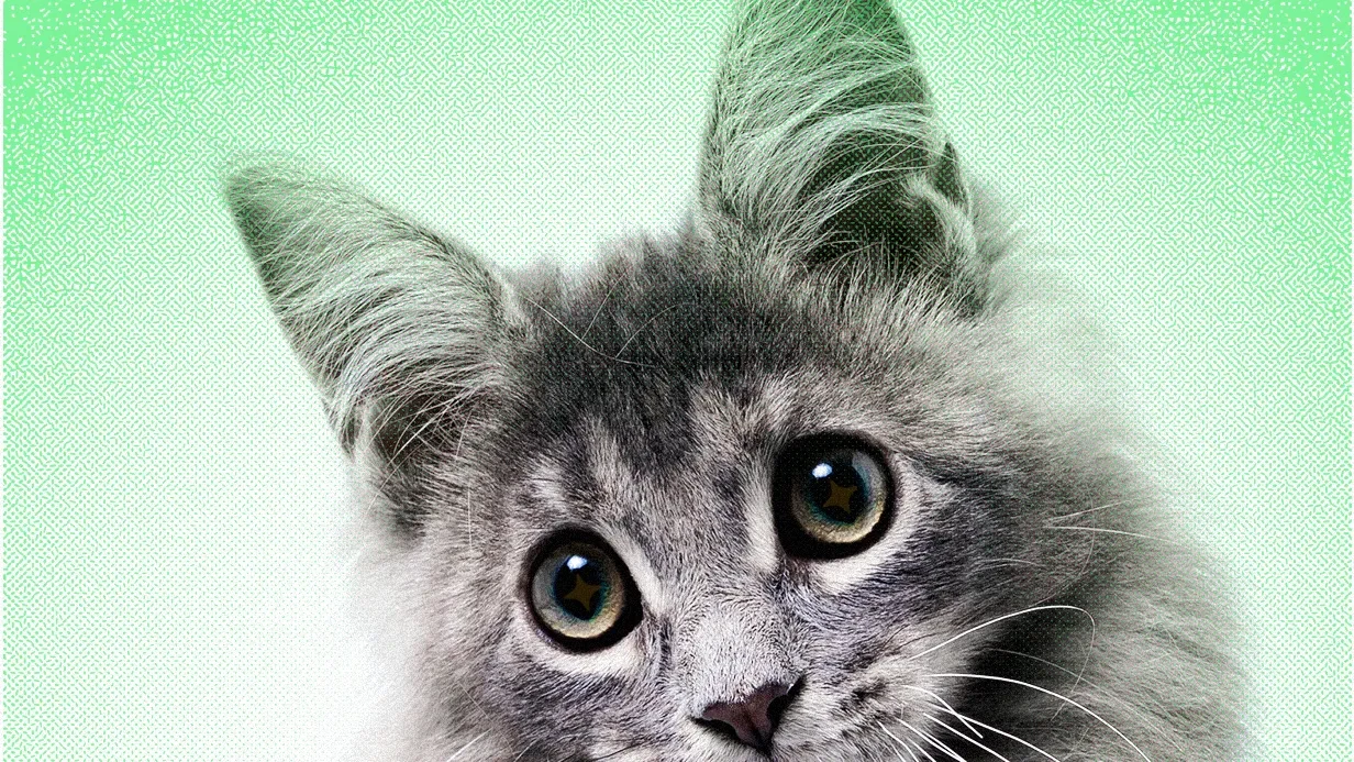 How AI-Generated Content Is Eroding Trust in the Internet’s Most Beloved Animal Content