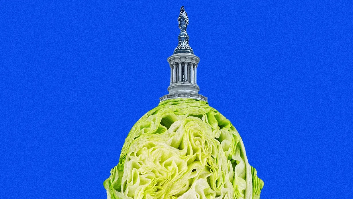 Taylor Farms, Outbreak-Linked Lettuce Supplier, Spent Millions Backing MAGA Republicans and Rolling Back Food Safety Rules